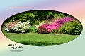 27 05 13_2966_edited-3